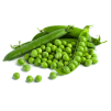 frozen peas
