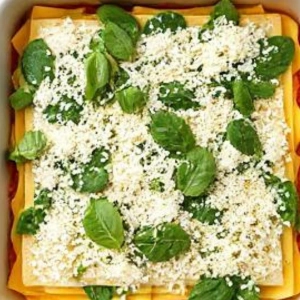 Assembling the Lasagna Layers